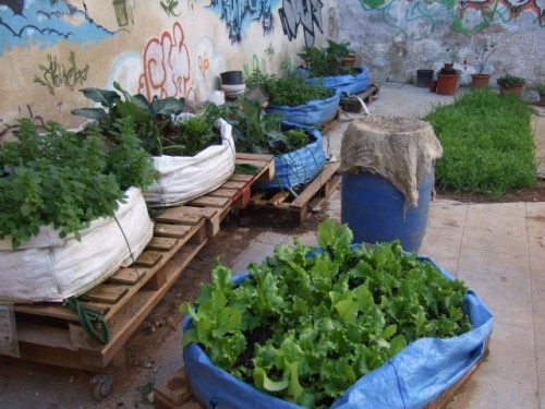 community garden bags vegetables